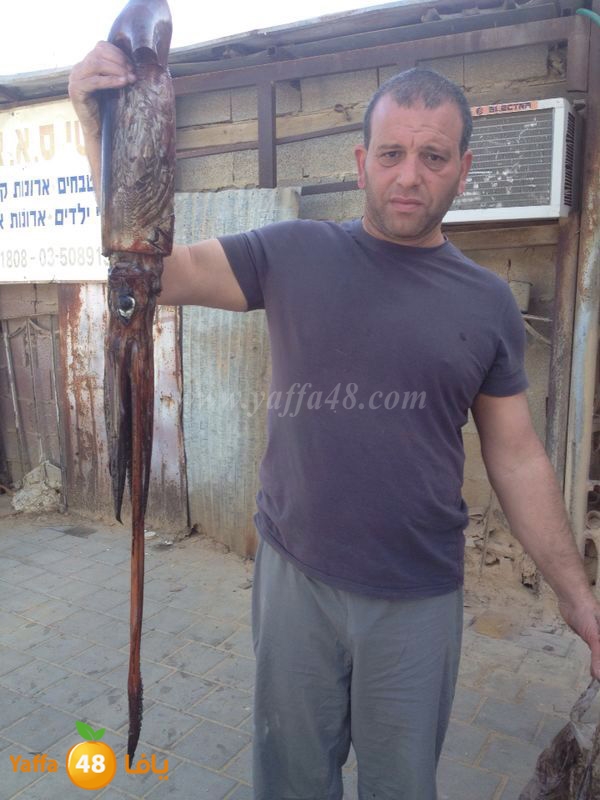 kalmary 3emad katta (2).jpg